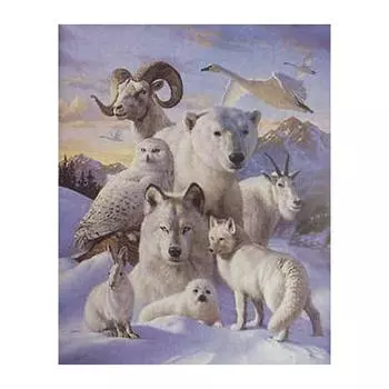 5D Diy Алмазная картина Белый медведь и волк Алмазная вышивка Крестом Домашний декор Подарки ручной работы Round 20x30cm