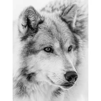 5D Diy Алмазная картина Белый волк Алмазная вышивка Крестом Домашний декор Подарки ручной работы Round 20x30cm
