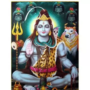5D DIY Алмазная картина Бхагван Шива Бог Вышивка крестом 5D Домашний Декор Подарок Full Round 20x30CM