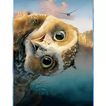 5D Diy Алмазная картина Большая голова птицы Алмазная вышивка Крестом Домашний декор Подарки ручной работы Round 20x30cm