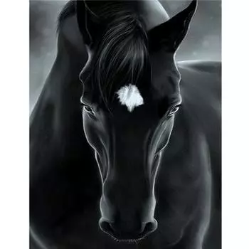 5D Diy Алмазная картина Черная лошадь Алмазная вышивка Крестом Домашний декор Подарки ручной работы Round 20x30cm