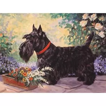 5D DIY Алмазная картина Черная собака и цветок Алмазная вышивка Полный мозаичный набор Наборы для вышивки крестом Домашний декор Подарки ручной работы Round 20x30cm