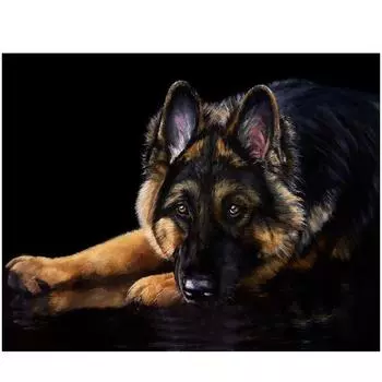 5D Diy Алмазная картина Черная волчья собака Алмазная вышивка Крестом Домашний декор Подарки ручной работыjavascript: Round 20x30cm