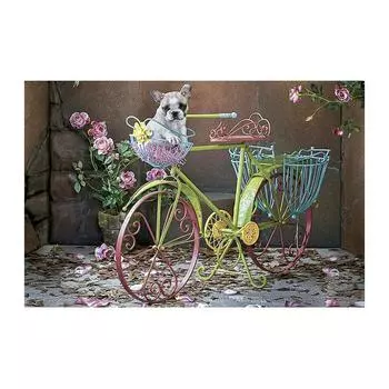 5D Diy Алмазная картина Цвет Велосипед Алмазная вышивка Крест Стежок Главная Декор Подарки ручной работы Round 20x30cm