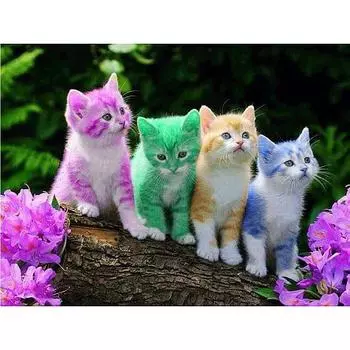 5D DIY Алмазная картина Цветная кошка Вышивка Крестом Горный хрусталь Мозаика Домашний декор 20X30CM