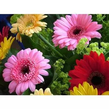 5D DIY Алмазная картина Цветок Гербера Вышивка крестом Круглая Алмазная мозаика Украшение стены Full Round 20x25CM