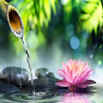 5D DIY Алмазная картина Цветок лотоса Бамбук Алмазная вышивка Крест Стежок 30X30CM