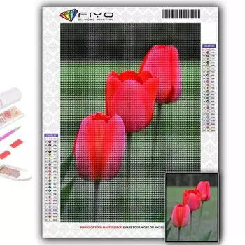 5D Diy Алмазная картина Цветы Тюльпаны Вышивка крестиком Полная Алмазная вышивка Мозаика Full Round 20X30CM