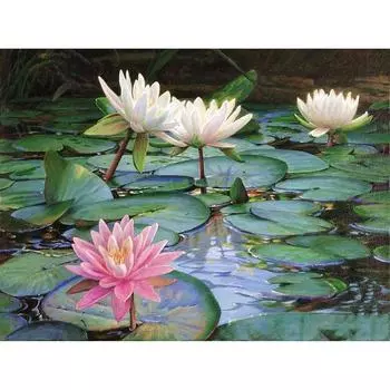 5D DIY Алмазная картина Цветы Вышивка крестиком Алмазная вышивка Мозаика Алмазы Домашний декор 20X30CM