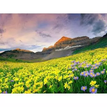 5D DIY Алмазная картина Цветы Вышивка Мозаика Вышивка крестом Горный хрусталь Украшение 20X30CM