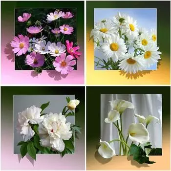 5D DIY Алмазная картина Дейзи Роза Цветок вышивки крестом Мозаика Алмазная вышивка Полный круглый полимерный горный хрусталь Украшение дома Full Round 20x20CM