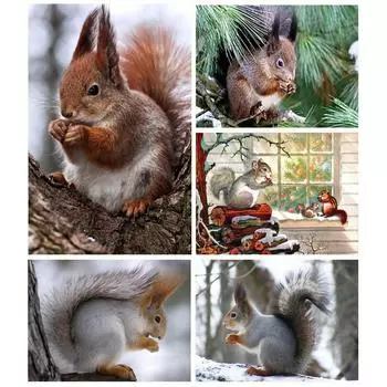 5D DIY Алмазная картина Деревянная белка Алмазная мозаика Алмазная вышивка Полный набор Наборы для вышивки крестом Домашний декор Подарки Round 20x30cm