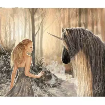 5D DIY Алмазная картина Девушка и Единорог Вышивка Мозаика Вышивка крестом Горный хрусталь Украшение 20X30CM