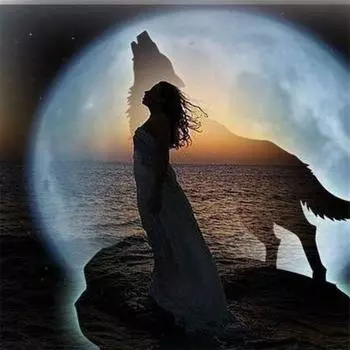 5D Diy Алмазная картина Девушка и волк Алмазная вышивка Полный набор аниме Наборы для вышивки крестом Домашний декор Подарок ручной работы Round 25x25cm