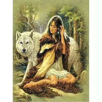5D DIY Алмазная картина Девушка и волк Набор для вышивки крестом Мозаика Алмазная вышивка Роза Полный круглый/квадратный дрель Украшение дома Round 20x30cm