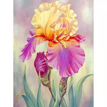 5D DIY Алмазная картина Дихроичный цветок Вышивка Крестом Горный хрусталь Мозаика Домашний декор 20X30CM