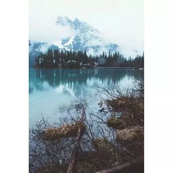 5D DIY Алмазная картина Дикий лес Алмазная вышивка Полный мозаичный набор Наборы для вышивки крестом Домашний декор Подарки ручной работы Round 20x30cm