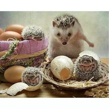 5D DIY Алмазная картина Ежик Набор для вышивки крестом Мозаика Алмазная вышивка Роза Полный круглый/квадратный дрель Украшение дома Round 20x30cm