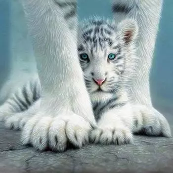 5D DIY Алмазная картина Фэнтези Тигр Алмазная вышивка Крестом Украшение дома 20X30CM