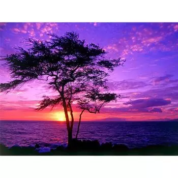 5D Diy Алмазная картина Фиолетовое дерево Алмазная вышивка Крестом Домашний декор Подарки ручной работы Round 20x30cm