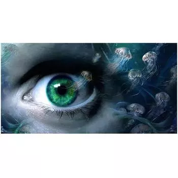 5D Diy Алмазная картина Глаз Алмазная вышивка Вышивка крестом Домашний декор Подарки ручной работыjavascript: Round 20x30cm