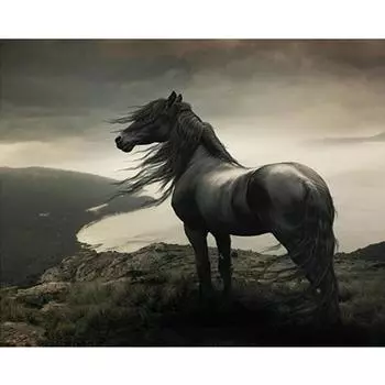 5D Diy Алмазная картина Горная река и лошадь Алмазная вышивка Крестом Домашний декор Подарки ручной работы Round 20x30cm
