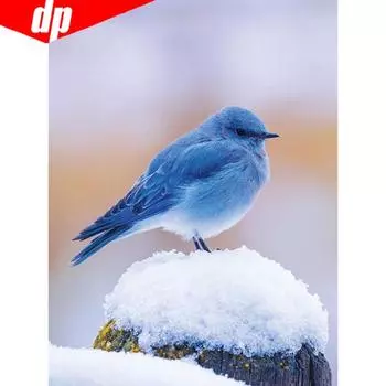 5D DIY Алмазная картина Горный хрусталь Картина Животное Вышивка Продажа Голубь Полный круглый бриллиант 20X30CM