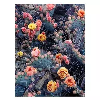 5D Diy Алмазная картина Кактус розовая роза Узоры полная круглая Алмазная вышивка Алмазная мозаика 20X30CM