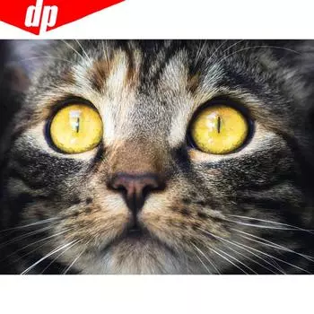 5D DIY Алмазная картина Кошка Фотографии Стразы Полный дисплей Вышивка 20X30CM