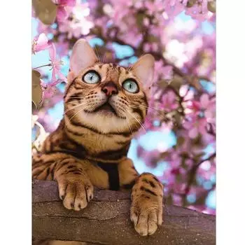 5D DIY Алмазная картина Кошка Мозаика Стразы Алмазная вышивка 20X30CM
