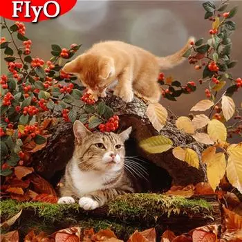 5D DIY Алмазная картина Кошка Полная квадратная алмазная вышивка Животное Картина Стразы Домашний декор Full Round 30x30CM