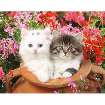 5D DIY Алмазная картина Кошки Вышивка Мозаика Вышивка крестом Горный хрусталь Украшение 20X30CM