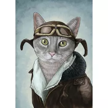 5D DIY Алмазная картина Кот пилот 3D Вышивка Крестом Горный хрусталь Мозаика Декор 20X30CM
