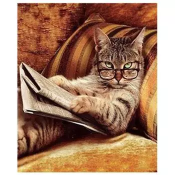 5D Diy Алмазная картина Кот в очках Вышивка крестом Домашний декор Подарок ручной работы 20X25CM