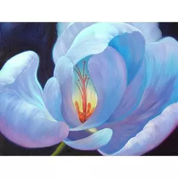 5D DIY Алмазная картина Красивый цветок Вышивка Мозаика Вышивка крестом Горный хрусталь Украшение 20X30CM