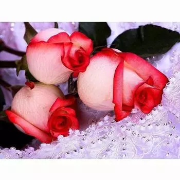 5D DIY Алмазная картина Красная роза Вышивка Мозаика Крест Стежок Горный хрусталь Декор 20X30CM