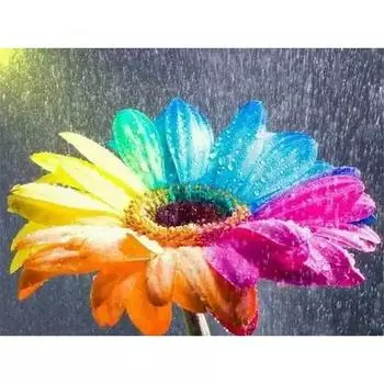 5D Diy Алмазная картина Красочные цветы Алмазная вышивка Крестом Домашний декор Подарки ручной работы Round 20x30cm