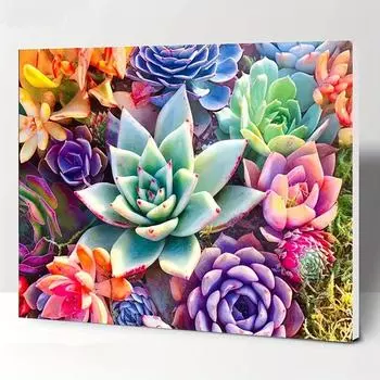 5D Diy Алмазная картина Красочные сочные цветы Набор для вышивки крестом Полная алмазная вышивка Мозаика Художественная картина Стразы Декор Подарок Full Round 20x30cm