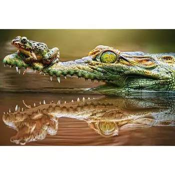 5D DIY Алмазная картина Крокодил Лягушка Алмазная вышивка Крестом Горный хрусталь Мозаика Домашний декор 20X30CM