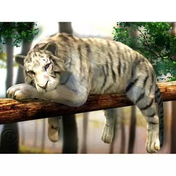 5D DIY Алмазная картина Ленивый тигр Вышивка Мозаика Крест Стежок Горный хрусталь Декор 20X30CM