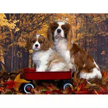 5D DIY Алмазная картина Лес Две собаки Полная круглая Алмазная вышивка крестом Стразы 20X30CM