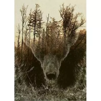 5D DIY Алмазная картина Лесной набор для вышивки крестом Мозаика Алмазная вышивка Роза Полный круглый/квадратный дрель Украшение дома Round 20x30cm