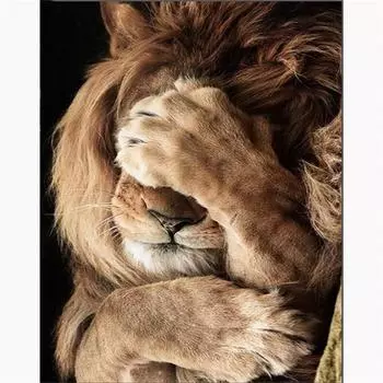 5D Diy Алмазная картина Лев, закрывающий глаза, Алмазная вышивка, вышивка крестиком, домашний декор, подарки ручной работыjavascript: Round 20x30cm