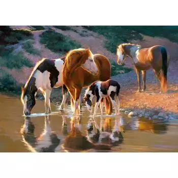 5D DIY Алмазная картина Лошадь Питьевая вода Алмазная вышивка Полный мозаичный набор Наборы для вышивки крестом Домашний декор Подарки ручной работы Round 20x30cm