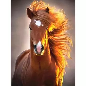 5D DIY Алмазная картина Лошадь Вышивка крестиком 5D Домашний декор 20X30CM