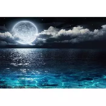5D DIY Алмазная картина Луна и Море Алмазная вышивка Полный мозаичный набор Наборы для вышивки крестом Домашний декор Подарки ручной работы Round 20x30cm
