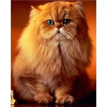 5D Diy Алмазная картина Маленький толстый кот Алмазная вышивка Крестом Домашний декор Подарки ручной работы Round 20x30cm