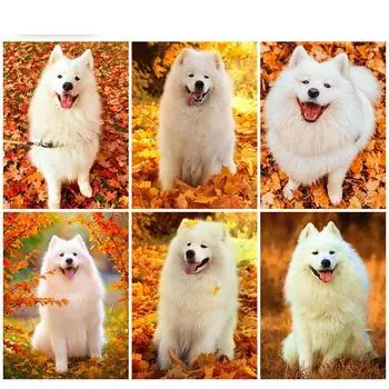 5D DIY Алмазная картина Милая самоедская собака Алмазная вышивка Набор для вышивки крестом Полный горный хрусталь Мозаика Домашний декор Round 20x30cm