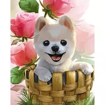 5D DIY Алмазная картина милая собака Алмазная вышивка животное вышивка крестом горный хрусталь Мозаика животное домашний декор подарок 20X30CM