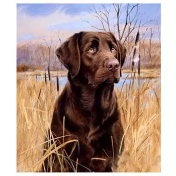 5D Diy Алмазная картина Милая собака Вышивка Крестом Домашний декор Ручной подарок 20X25CM